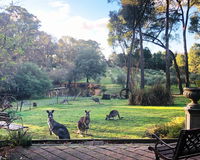 Book Hepburn Accommodation Vacations Darwin Holiday Darwin Holiday