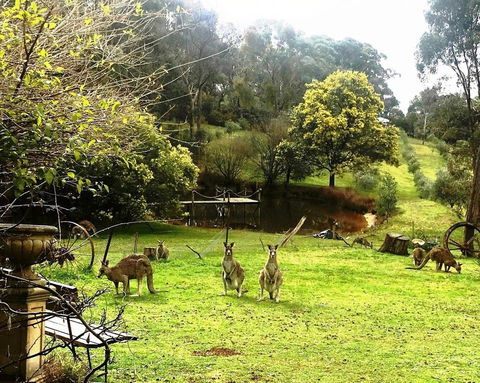 Countryside Retreat Spa Cottage Hepburn - Daylesford - Darwin Holiday 1