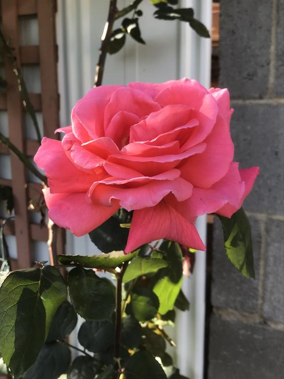 Mulgrave VIC Darwin Holiday