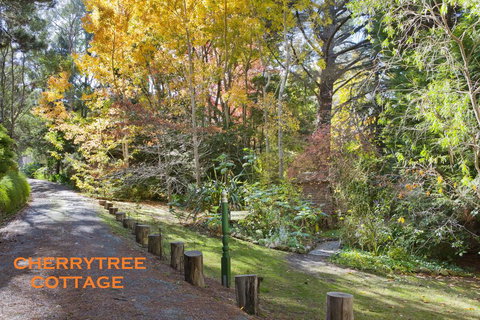 Crafers Cottages - Darwin Holiday 1