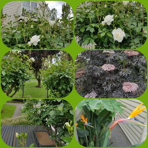 Creek Cottage Bed And Breakfast - Darwin Holiday 3