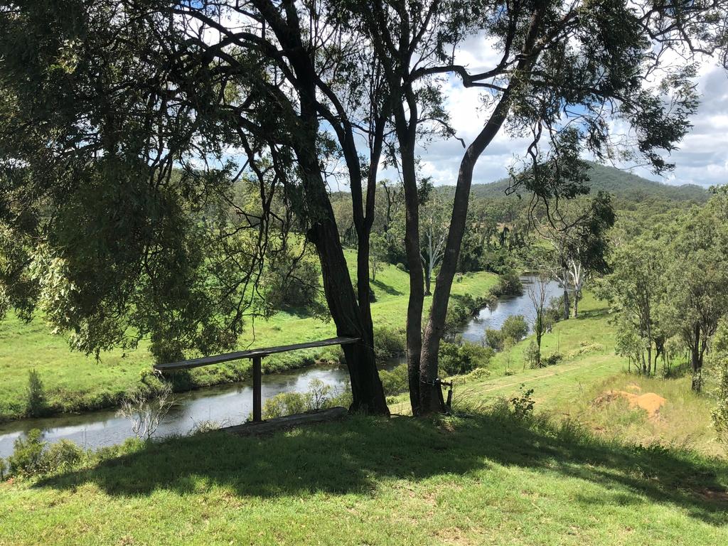 Black Snake QLD Darwin Holiday