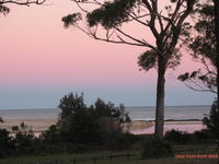 Cudmirrah Reef Cottage