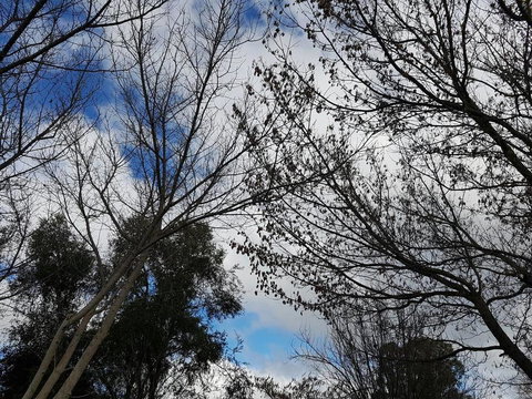 Cute Cottage On Byng - Walk To Town AND Pet Friendly - Darwin Holiday 1