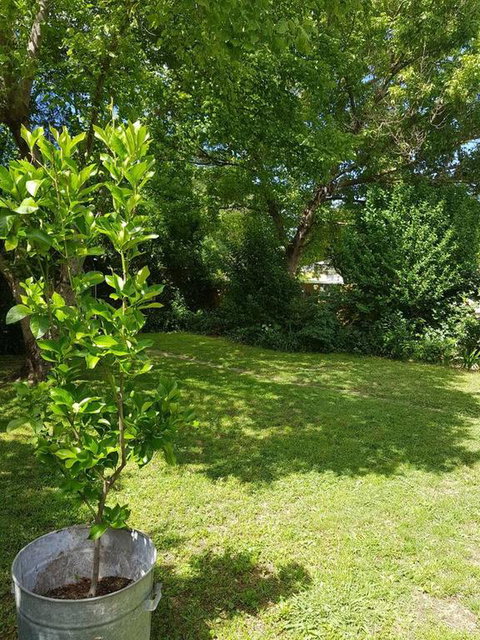 Cute Cottage On Byng - Walk To Town AND Pet Friendly - Darwin Holiday 3