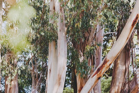 Dalblair Bed & Breakfast - Darwin Holiday 2