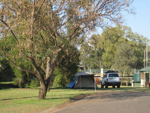 Dalby Tourist Park - Darwin Holiday 3