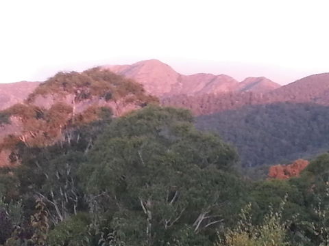 Day Dream Cottage - Darwin Holiday 2