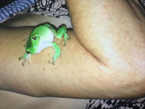 De Shed Shannonvale - Darwin Holiday 1