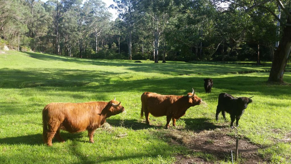 Kenthurst NSW Darwin Holiday