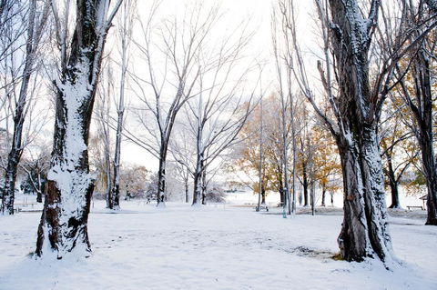 Discovery Parks - Jindabyne - Darwin Holiday 3