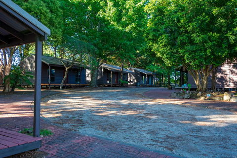 Dorrigo Mountain Holiday Park - Darwin Holiday 1