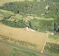 Dreaming of the Buckland