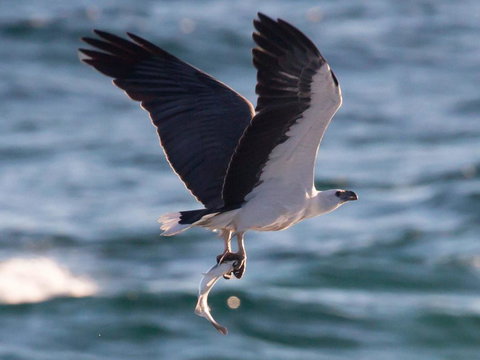 Ebbtide 6 - Opposite Main Beach - Darwin Holiday 2