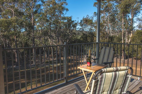 Echidna On Bruny - Darwin Holiday 1