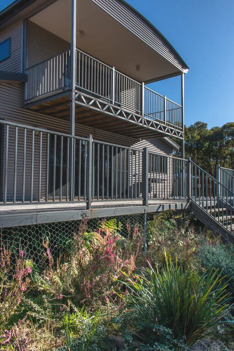 Echidna On Bruny - Darwin Holiday 3