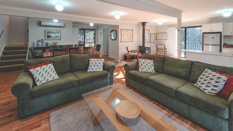 Echidna On Bruny - Darwin Holiday 2