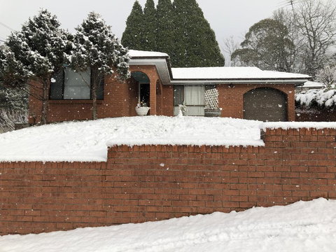 Ecoangelus - Darwin Holiday 3