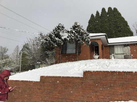 Ecoangelus - Darwin Holiday 1