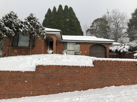 Ecoangelus - Darwin Holiday 2