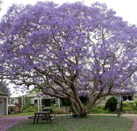 Ecotel Narooma - Darwin Holiday