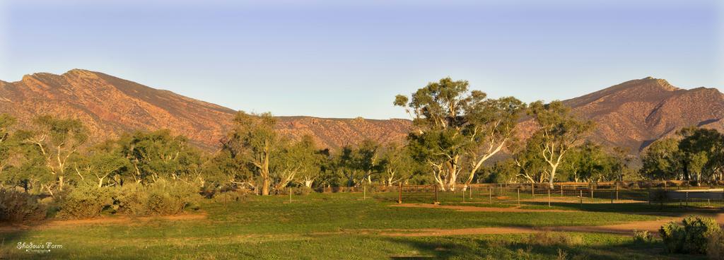Flinders Ranges SA Darwin Holiday