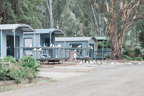 Eildon Pondage Holiday Park - Darwin Holiday 3