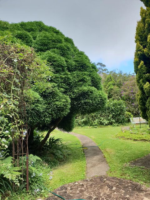 English Gardens - Forest Spa Suite - Darwin Holiday 0