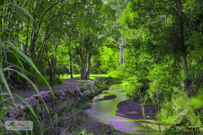 Book Esk Accommodation Darwin Holiday Darwin Holiday