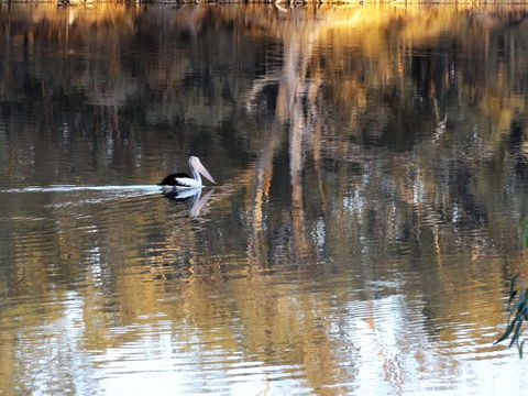 Euston Club Motel - Darwin Holiday 0