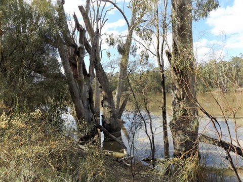 Euston Club Motel - Darwin Holiday 3