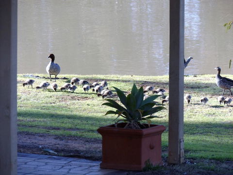 Euston Club Motel - Darwin Holiday 1