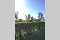 Book Benalla Accommodation Vacations Darwin Holiday Darwin Holiday