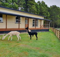 Farm Stay Lowana Strahan - Darwin Holiday