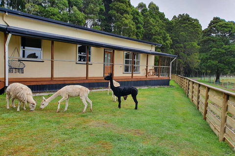 Farm Stay Lowana, Strahan - Darwin Holiday 0