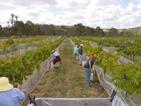 Fergies Hill Spa Cottage @ Granite Ridge Wines - Darwin Holiday 2
