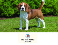 Book Cudgera Creek Accommodation Vacations Darwin Holiday Darwin Holiday