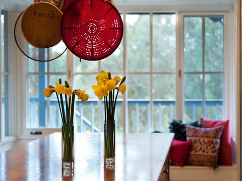 Finlie - Darwin Holiday 3