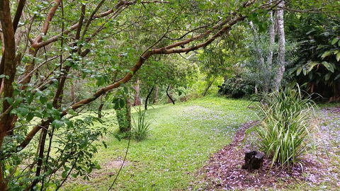 Forest View Bungalow - Darwin Holiday 1