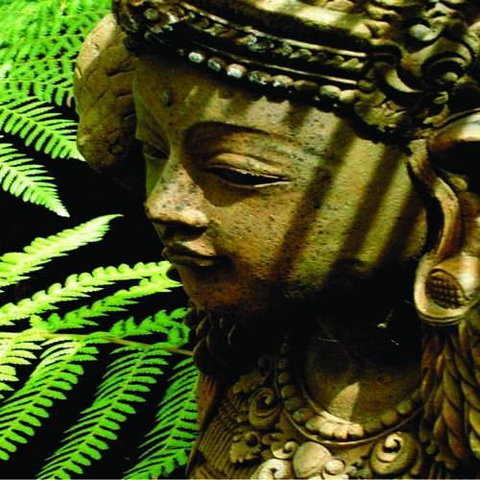 Forget Me Not Cottages - Darwin Holiday 3