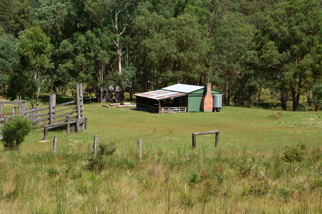 Forest Land NSW Darwin Holiday