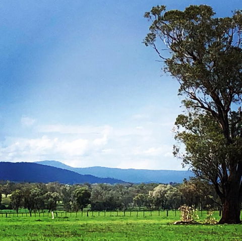 Fourjay Farmstay - Darwin Holiday 0