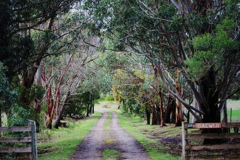 Galwiji Homestead - Darwin Holiday 1