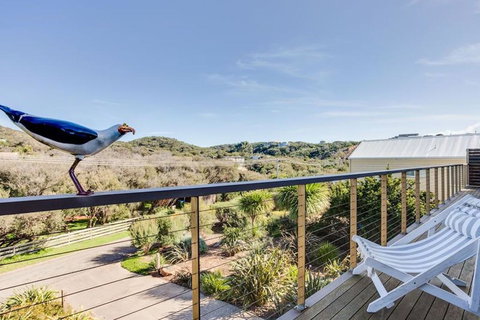 Glamour On Gulls - Darwin Holiday 2