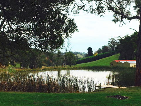 Gracefield Estate - Darwin Holiday 0