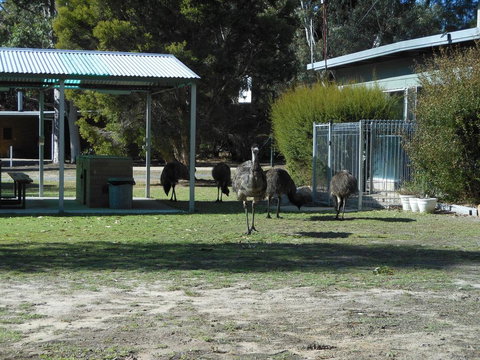 Grampians View Cottages And Units - Darwin Holiday 1