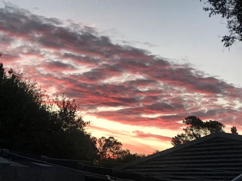 Guinevere - Darwin Holiday 2