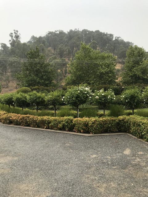 Guinevere - Darwin Holiday 0