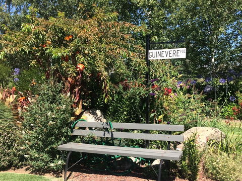 Guinevere - Darwin Holiday 3