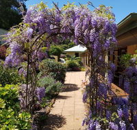 Gumtree House Montville - Darwin Holiday